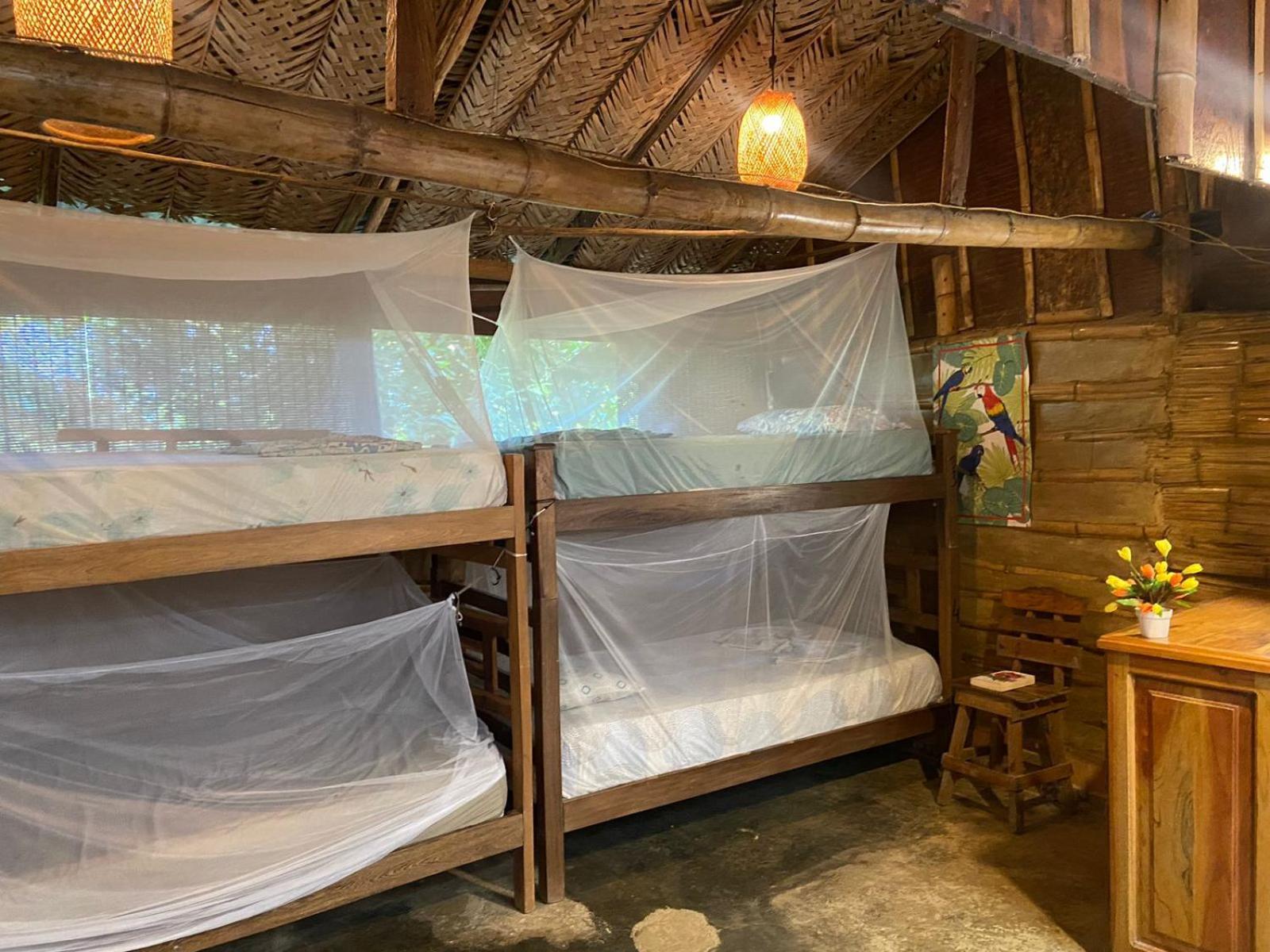 Colibri Hostal Minca Zewnętrze zdjęcie
